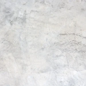 CO-2